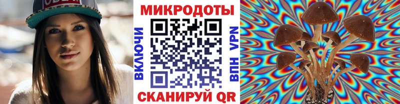 Псилоцибиновые грибы Cubensis  Жуков 